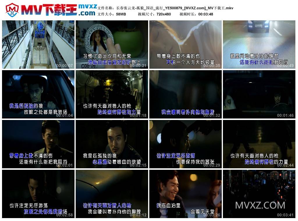 长春张云龙-孤狼_国语_流行_YE500879